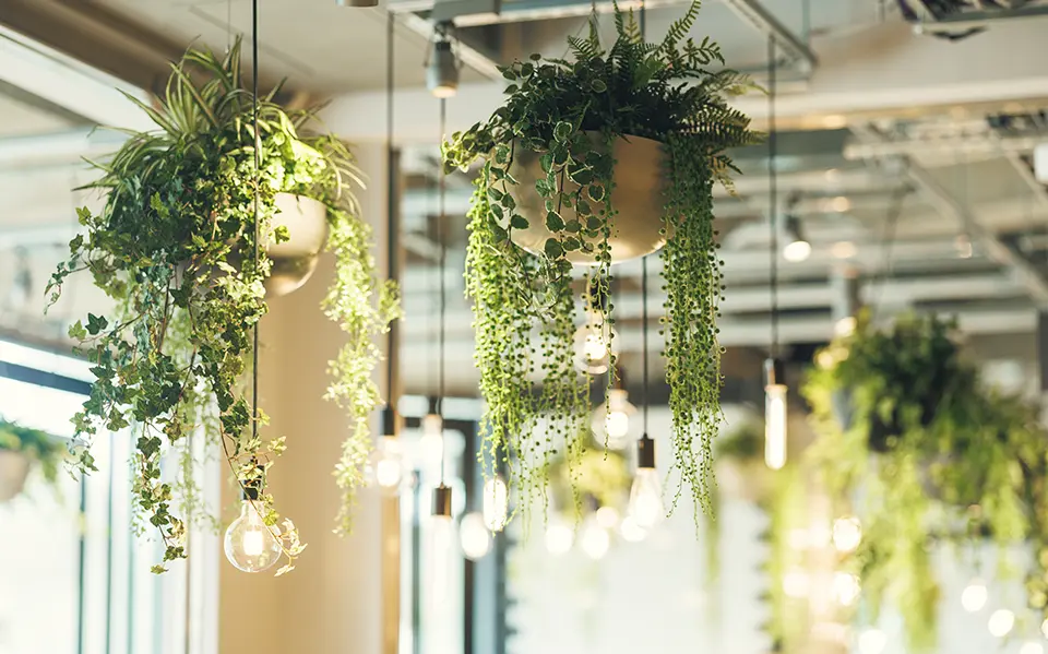 مجموعة متنوعة من الأطعمة الشهية للاستمتاع بها حول مطار ناها