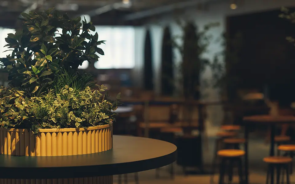 A relaxing cafe space where you can take a break