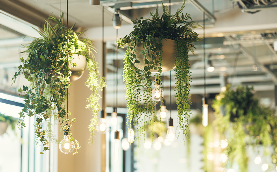 雰囲気と美味しい料理を楽しむ女子会