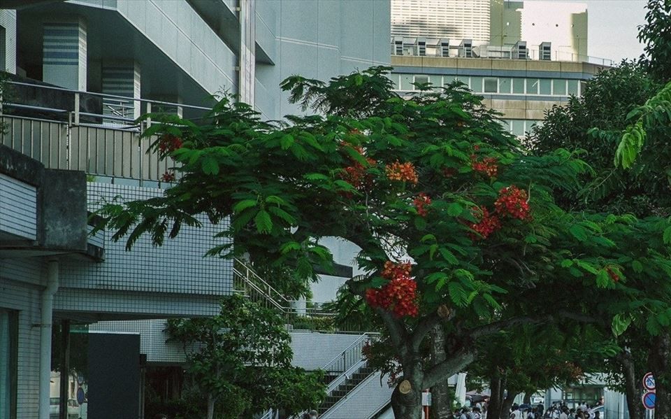 交通利便性に優れたフードホール