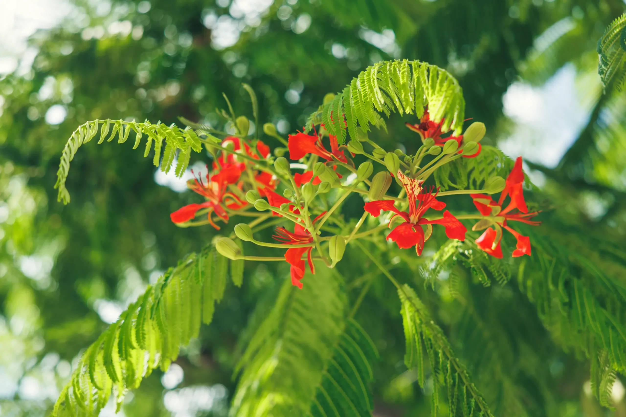 パレット久茂地で過ごす特別なひととき