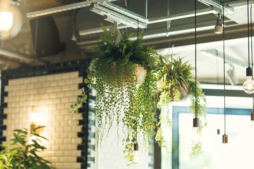 贈り物に喜ばれる理由