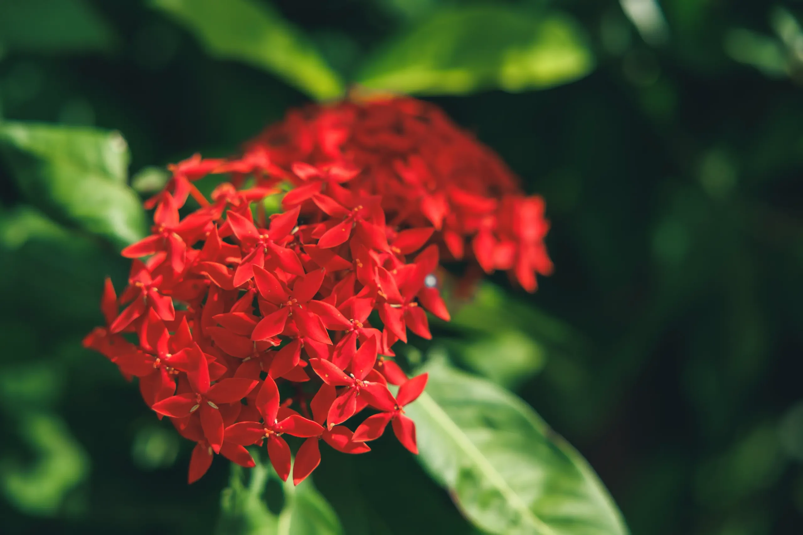 梱包の丁寧さを追求する