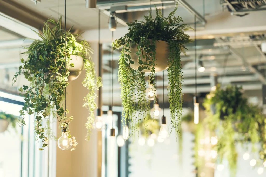 気軽に立ち寄れる雰囲気