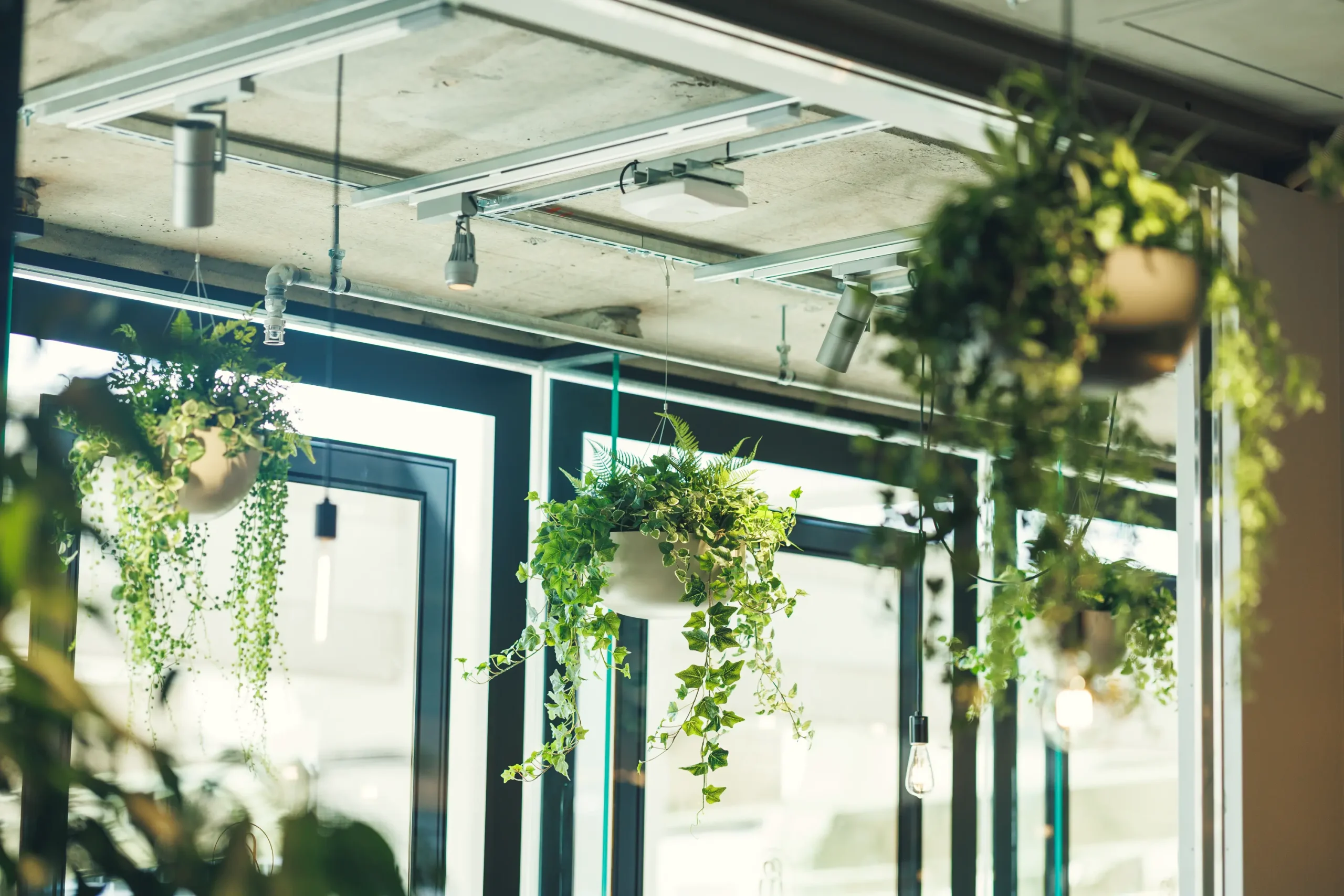 パレットくもじ フードコート メニュー豊富
